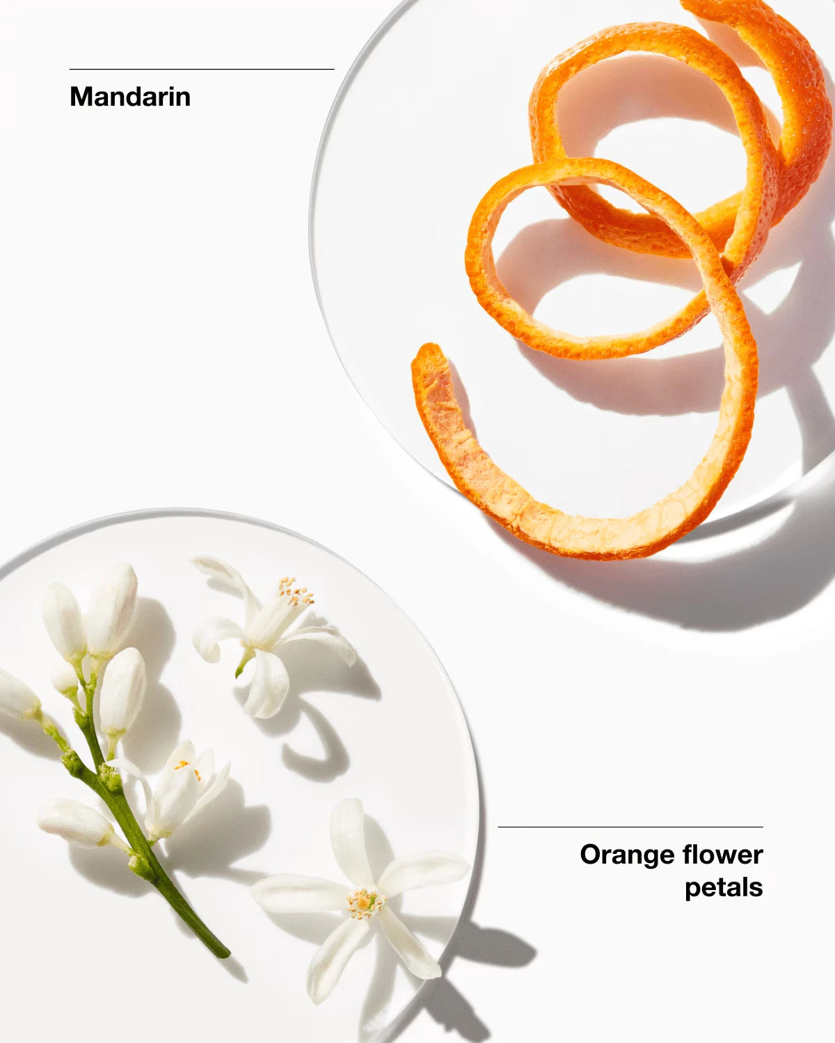 Clinique My Happy™ Baby Bouquet Fragrance - US 1956
