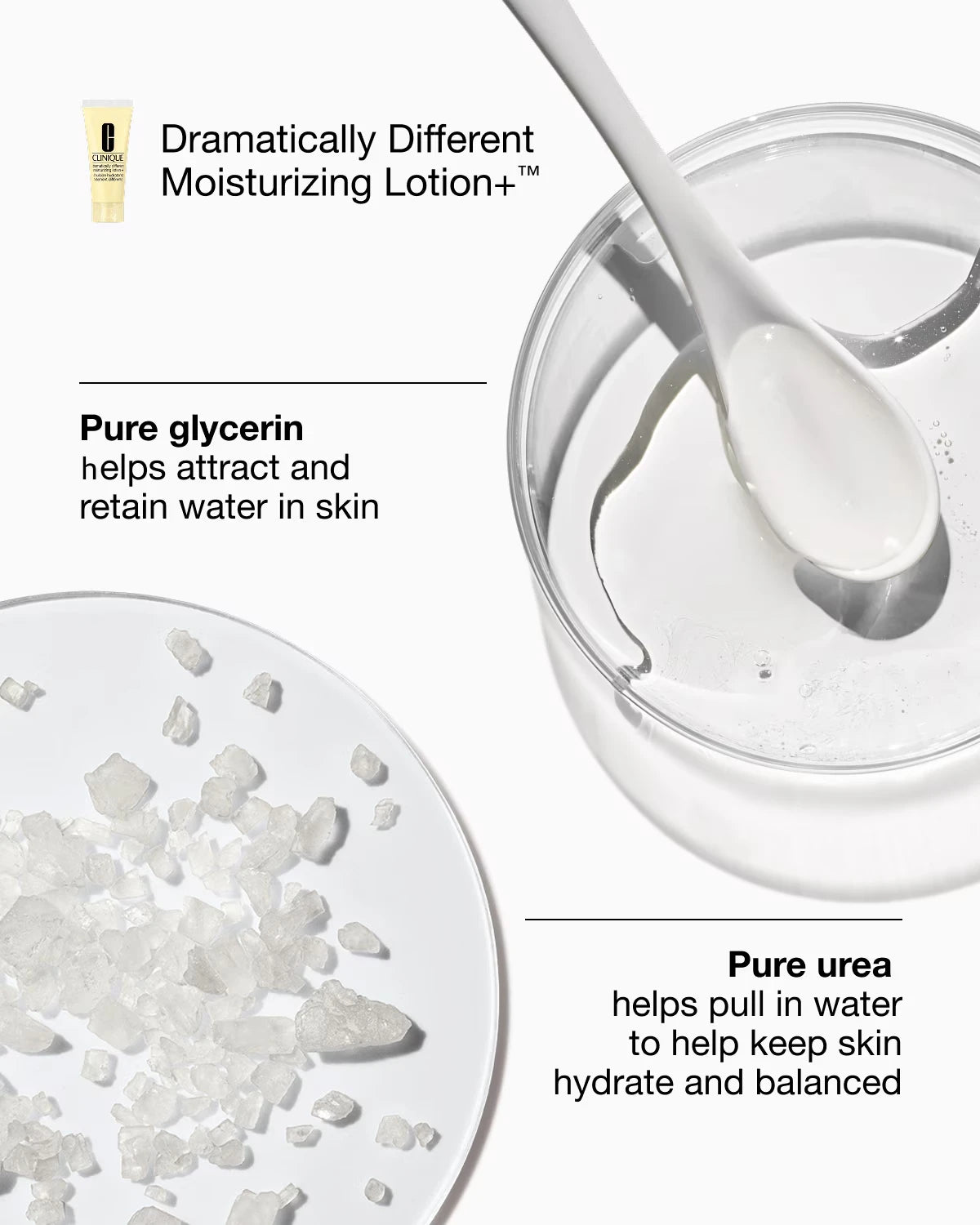 Our Most-Loved Fragrance + Moisturizer Bundle - US 7855