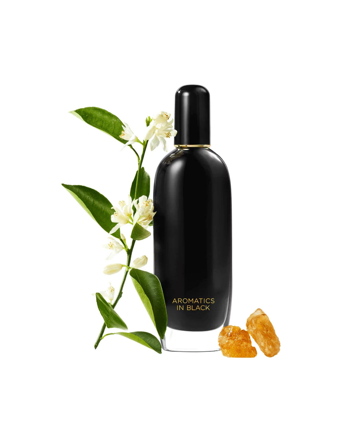 Aromatics in Black Fragrance - US 6370