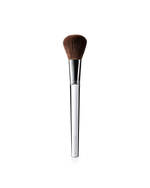 Blush Brush - US 8975