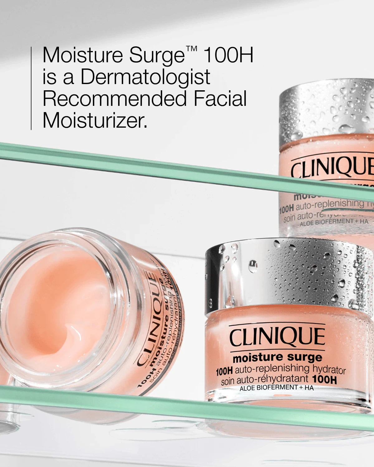 Moisture Surge™ 100H Auto-Replenishing Hydrator - US 5513
