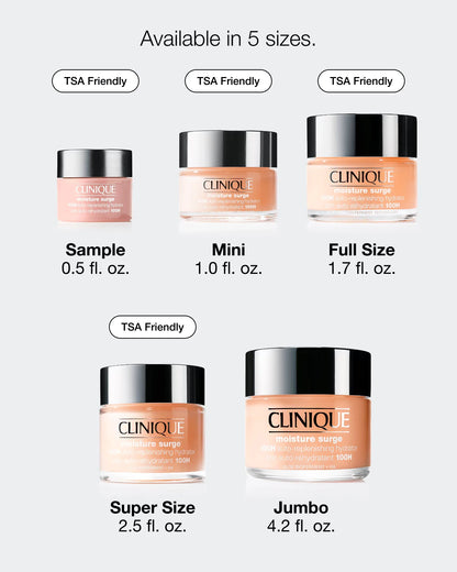 Moisture Surge™ 100H Auto-Replenishing Hydrator - US 5513