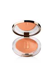 Daylit Bronze